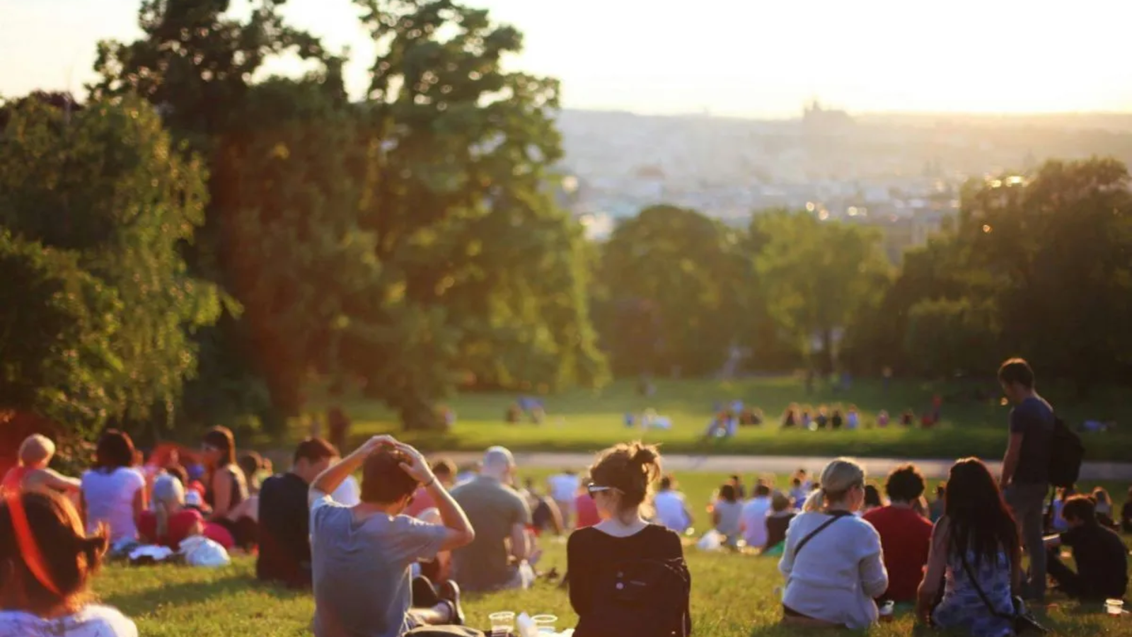 A large group of people sit on a grassy hillside in a park in The Woodlands, enjoying the outdoors on a sunny day. Trees surround the area and a cityscape is visible in the distance under a bright sky—just steps from Noble Roofing services nearby.